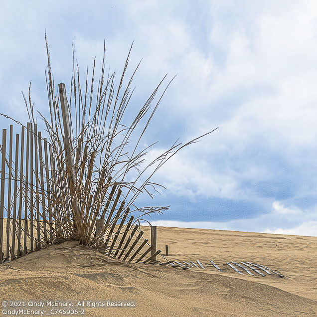 Outer Banks Winter | Student Photos