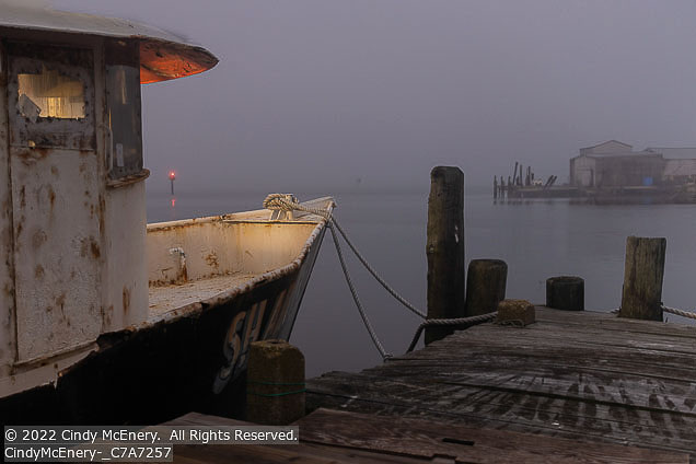 Outer Banks Winter | Student Photos