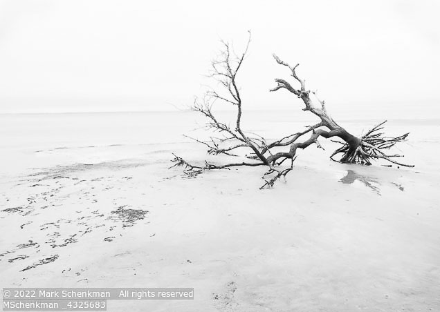 Outer Banks Winter | Student Photos