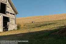 Palouse | Student Candids