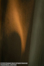 Palouse | Student Photos