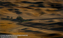 Palouse | Student Photos Palouse | Student Photos