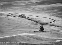 Palouse | Student Photos
