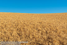 Palouse | Student Photos
