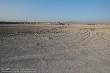 Salton Sea | Student Candids